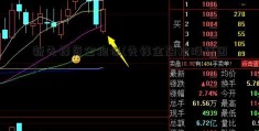 新先锋资金担保(先锋金融控股集团)