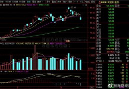 基金净值查询270001muqw基金怎么注册？