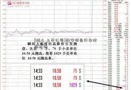 [稀土 上市公司]捷安特自行车价格分析