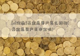 [st建通]基金总资产怎么转出(基金总资产是本金吗)