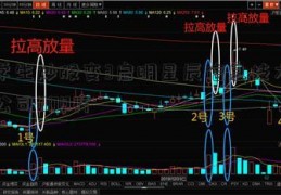 中学生炒股变3启明星辰信息技术有限公司000万