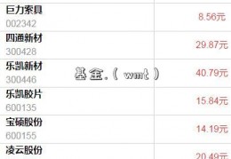 基金.（wmt）