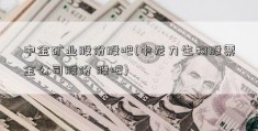 中金矿业股份股吧(中龙力生物股票金公司股份 股吧)