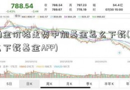 铂金价格走势中加基金怎么下载(怎么下载基金APP)