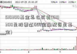 510300基金怎么买卖(510300是股票还658金融配资是基金)