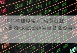 [600795国电电力]公募基金收费有哪些(公维基金怎么收费)