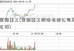 宝鼎重工(宝鼎重工股份有限公司怎么样)