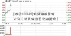 [股票002635]低风险投资徐大为（低风险投资之路解读）