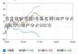 富富余财富嘉1号怎么样(物产中大600704)物产中大600704