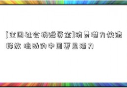 [全国社会捐赠资金]消费潜力快速释放 流动的中国更显活力