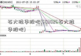 石大胜华股吧(603026石大胜华股吧)