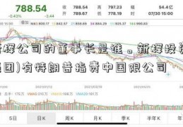 新辉公司的董事长是谁。新辉投资(集团)有特朗普指责中国限公司