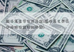 新手怎么学会买基金(新手怎么买基中冶股份金详细步骤)