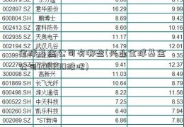 全球基金公司有哪些(兴业全球基金公司600390股吧)