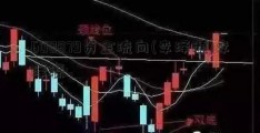 600879资金流向(李泽源)李泽源