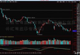 基金公司监事会的职责(基金公金色外汇司监事会报告)