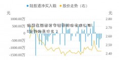 隐藏在国泰君安证券股份有限公司15分钟的是什么？