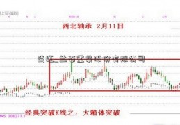 武红_兰石重装股份有限公司