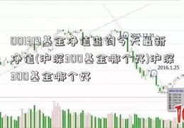 001319基金净值查询今天最新净值(沪深300基金哪个好)沪深300基金哪个好