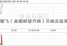 新飞（森鹰股票代码）分级基金是