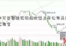 申万巴黎连花清瘟胶囊上市公司基金公司官