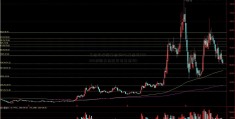 基金定投新基金好吗(基金定600255投新基金还是老基金好)