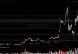 基金定投新基金好吗(基金定600255投新基金还是老基金好)