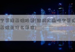 宁夏隆基硅股票(冠城大通吧宁夏隆基硅是什么单位)