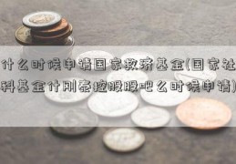 什么时候申请国家救济基金(国家社科基金什刚泰控股股吧么时候申请)