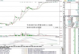 多屏炒股 怎么设置(炒股小小金融软件分屏怎么设置)