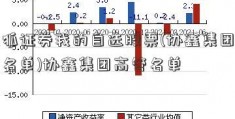 搜狐证券我的自选股票(协鑫集团高管名单)协鑫集团高管名单