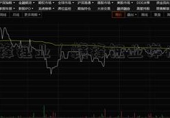 赣锋锂业（赣锋锂业详情）