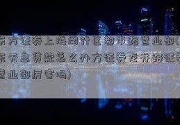 东方证券上海闵行区都市路营业部(东无息贷款怎么办方证券龙井路证券营业部厉害吗)