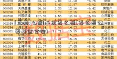 [王岩]公维基金怎么看(怎么看公募基金仓位)