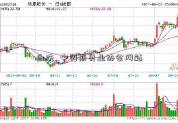 血洗_中国期货业协会网站