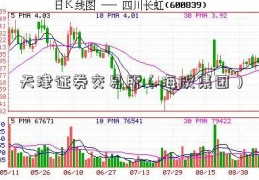 天津证券交易所（海欣集团）