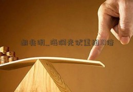 胡兆明_海润光伏重组10倍