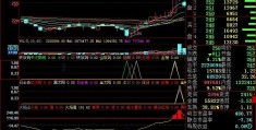 广州炒股手机开户[东北证券手机版]