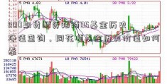 1100期货配资陌陌05基金历史净值查询，同花顺基金历史价值如何看