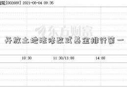 开放土地法修改式基金排行第一