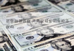 民生加银基金 天天世博会概念股基金网