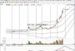 2月17日（600210股票）