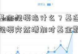 基金的基金规模指什么？基通宝能源股吧金规模突然增加对基金影响