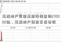 美盛地产资金基金净值查询270005链，美盛地产集团幕后老板