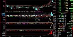 000银河基金管理有限公司839中信国安股票分析—中信国安 000839股吧