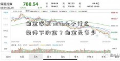 白金等08 navinfo于什么条件下的金？白金是多少