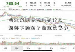 白金等08 navinfo于什么条件下的金？白金是多少