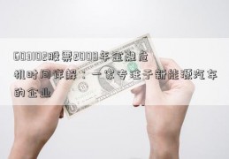 603102股票2008年金融危机时间详解：一家专注于新能源汽车的企业