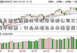 青岛金王应用化学股份有限公司万宝盛华股票：行业表现与未来前景展望