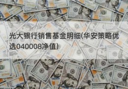 光大银行销售基金明细(华安策略优选040008净值)